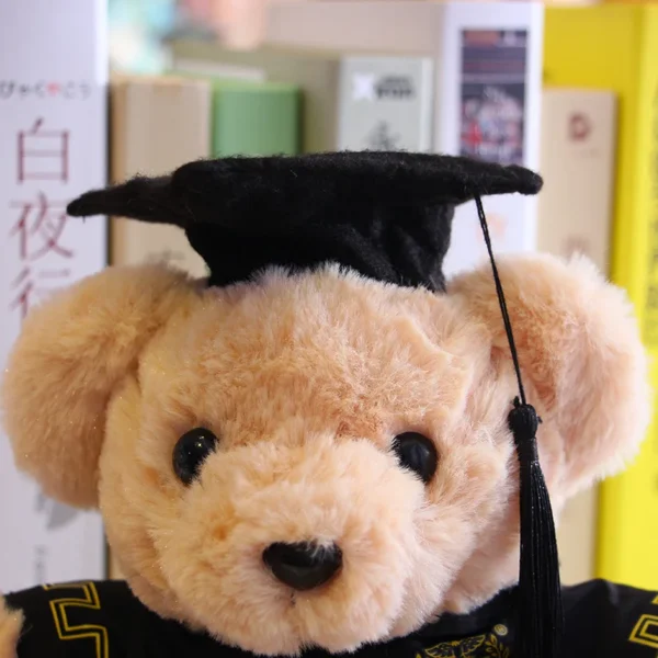 Wholesale Graduation Dr. Cap Bear Plush Toy Bachelor Teddy Doll Graduation Commemorative Gift Logo Claw Crane Toys 20pcs - Image 4